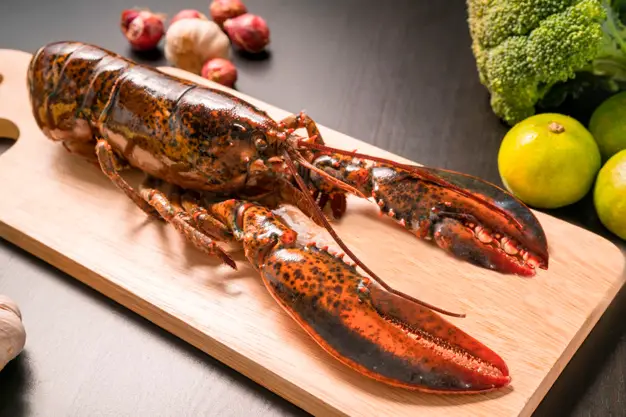 United State Lobster Market-d7222b9e