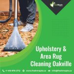 Upholstery & area Rug  Cleaning Oakville