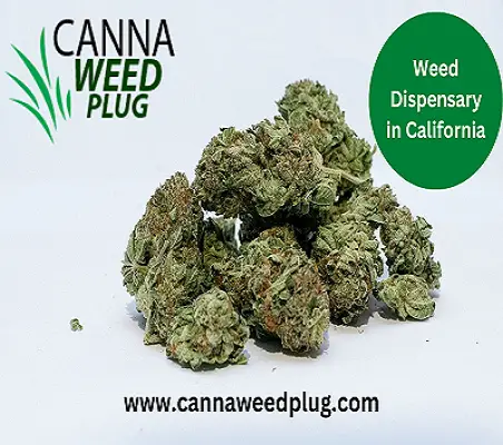Weed Dispensary in California-d21b43d1