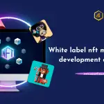 White label nft marketplace development company (4)-e4baf3af