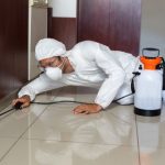 Why Do You Appoint Local Pest Control Hobart Experts-b9651b08