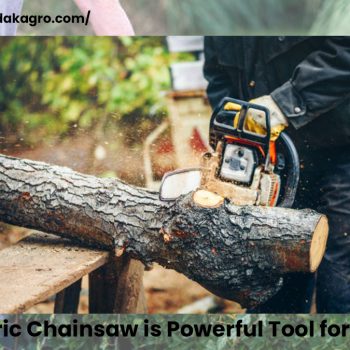 Why Electric Chainsaw is Powerful Tool for Gardening 12 January-18fcdafc