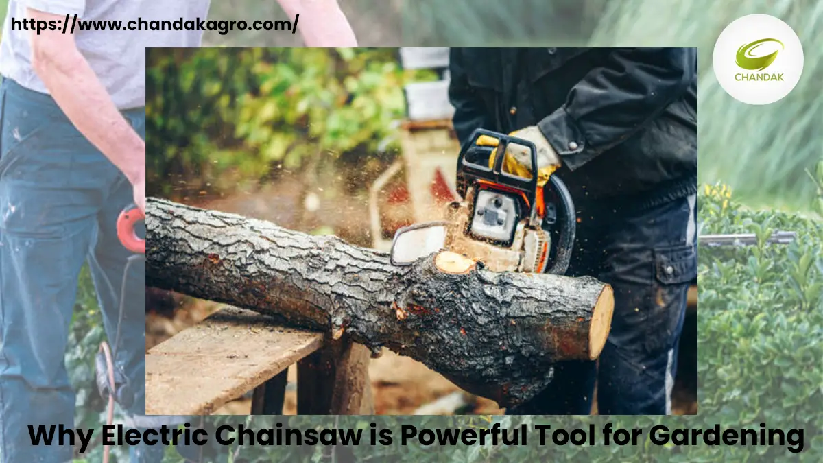 Why Electric Chainsaw is Powerful Tool for Gardening 12 January-18fcdafc