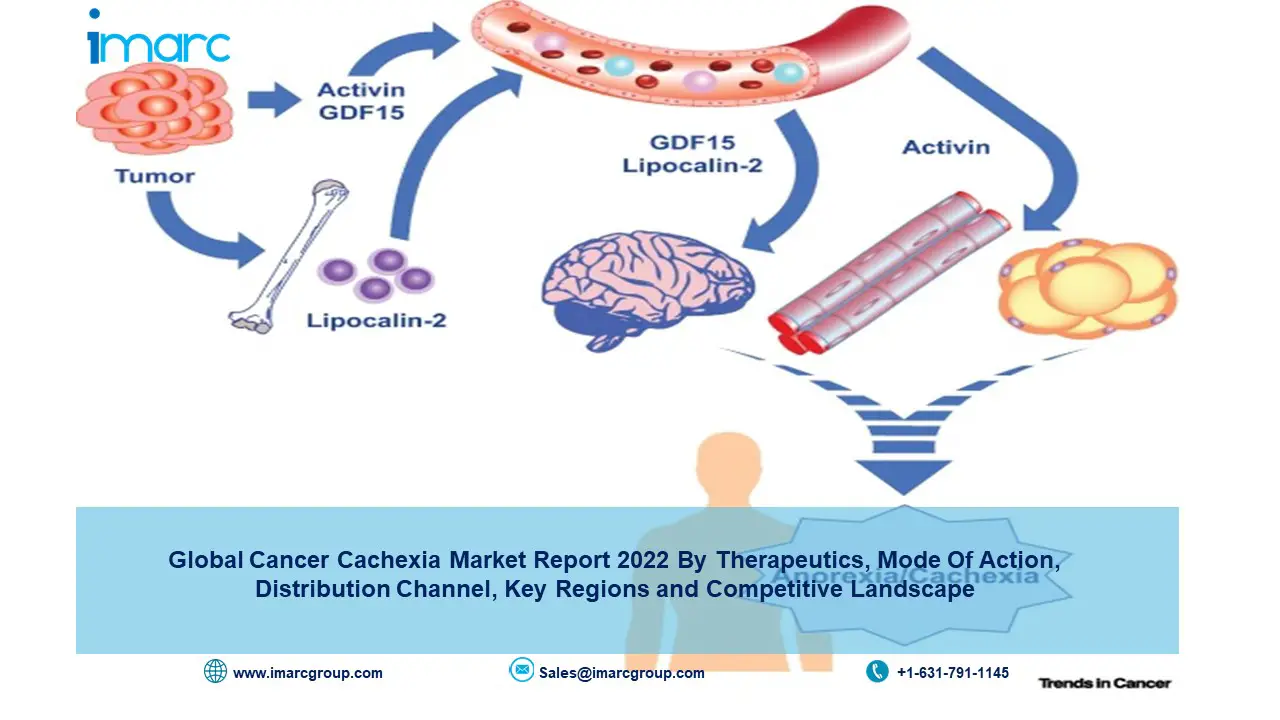 cancer-cachexia-market-imarcgroup-febe50e7