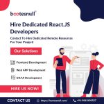 Hire ReactJS Developers