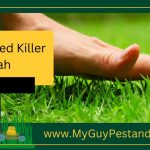 lawn weed killer Utah-b8208fcd