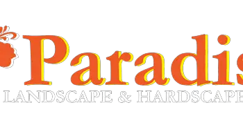 paradise-logo-542x180-1-361eaef9