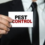 pest-control-mistakes-7346fce2