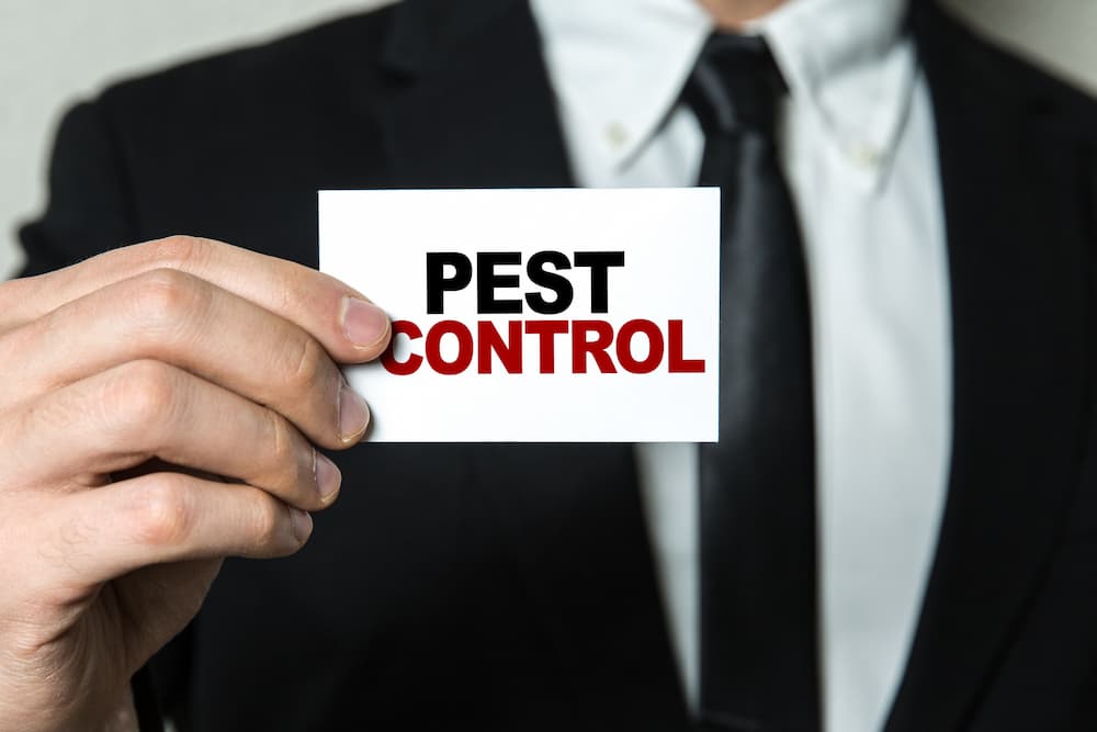 pest-control-mistakes-7346fce2