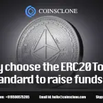 why chERC20 Token Developmentoose the ERC20 Token Standard to raise funds__-334aca9c