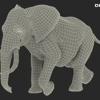 3D Animation Assets-075ab8ee