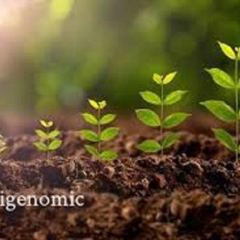 Agrigenomics Market Analysis, Opportunity, Demand, Share, Size, Trends & Forecast-8a39ea5b