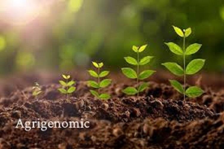 Agrigenomics Market Analysis, Opportunity, Demand, Share, Size, Trends & Forecast-8a39ea5b