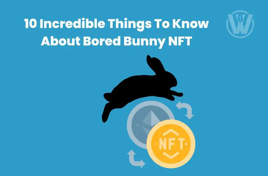 Bored Bunny NFT: 10 Incredible Things To Know About It