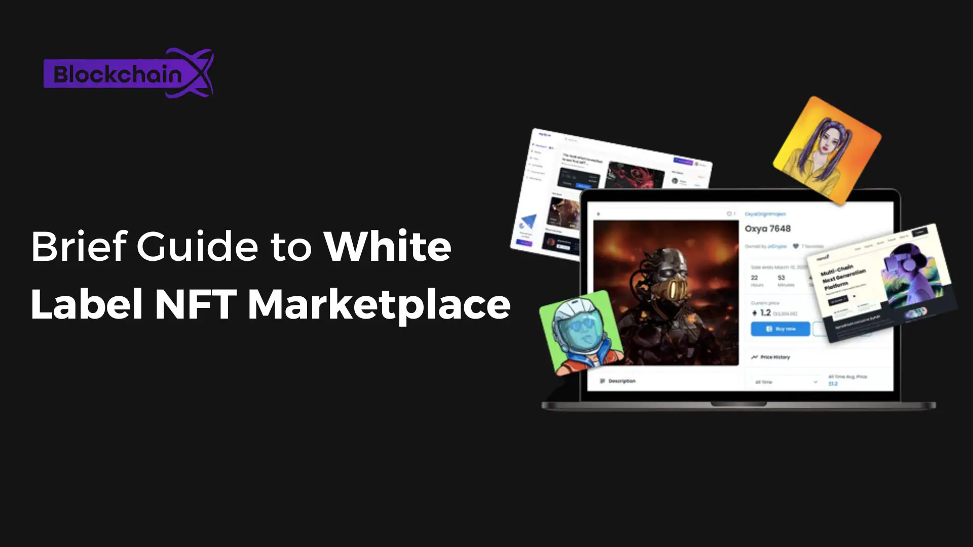 Brief Guide to White Label NFT Marketplace-0878f481