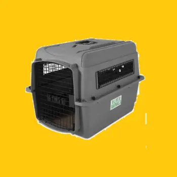 Buy IATA-Approved Pet Cage Online-556ff064