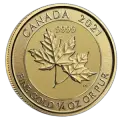 Canadian-Twin-Maple-1-300x300-removebg-preview-b799d4c9