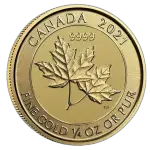 Canadian-Twin-Maple-1-300x300-removebg-preview-b799d4c9