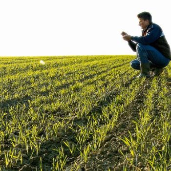 Crop Scouting Market Analysis, Opportunity, Demand, Share, Size, Trends & Forecast-8809af3e
