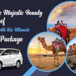Discover the Majestic Beauty of Rajasthan-29a7bf36