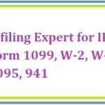 E-filing Expert for IRS Form