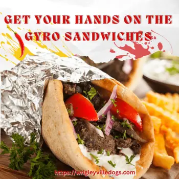 Get Your Hands On The Gyro Sandwiches-d3430580