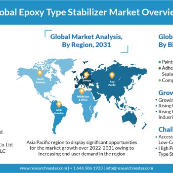 Global Epoxy Type Stabilizer Market