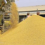 India Grain Analysis Market Analysis, Opportunity, Demand, Share, Size, Trends & Forecast-c6fcf688