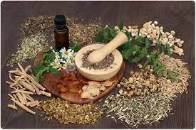 India Herbal Products Market-ba775283