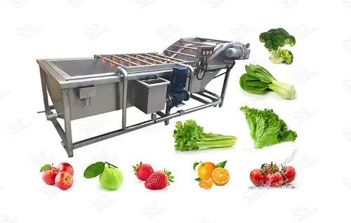 India Vegetable Washer System Market-e95b611b
