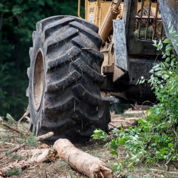 Logging Tires
