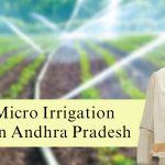 NCBN Micro Irrigation Initiative in Andhra Pradesh-d2679093