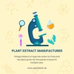 Plant Extract Manufacturer-b1bf3d79