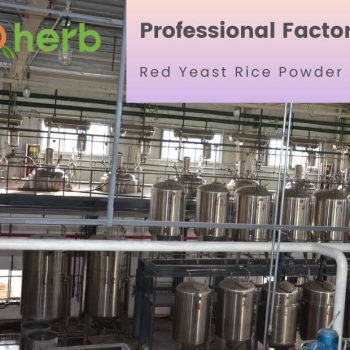 Red yeast rice powder factory-a31fa8a6