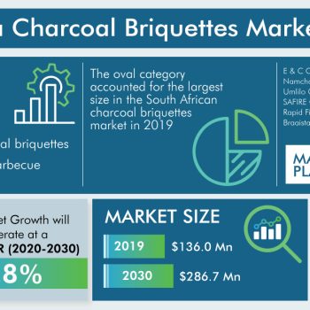 South-Africa-Charcoal-Briquettes-Market-1-87403b34