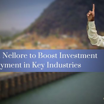 TDP's Efforts in Nellore to Boost Investment and Employment in Key Industries-7a91ad35