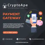 payment-gateway-02-02-2023 (1) Cryptoape-d060e938