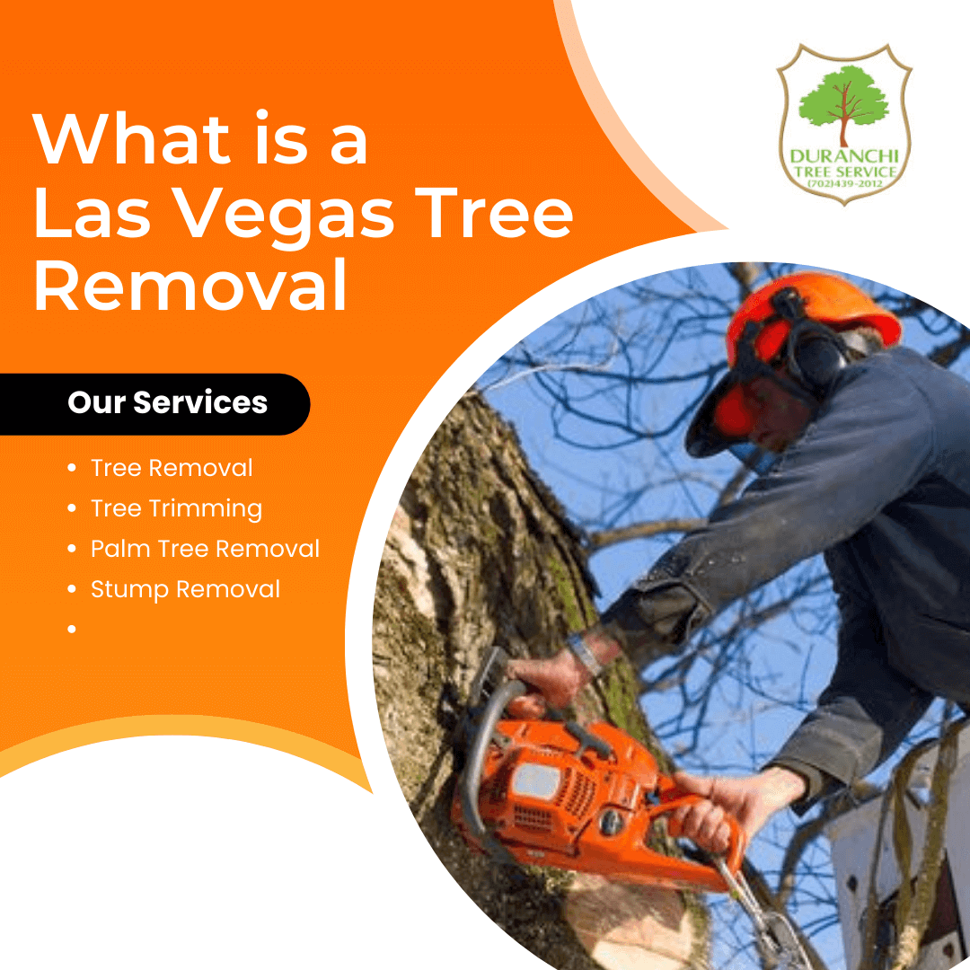 What is Las Vegas Tree Removal?