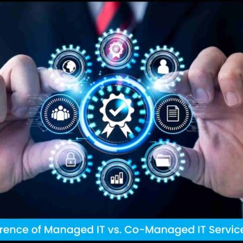 Difference of Managed IT vs. Co-Managed IT Services
