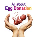 Egg-Donation-Banker-IVF-05-2000x1125