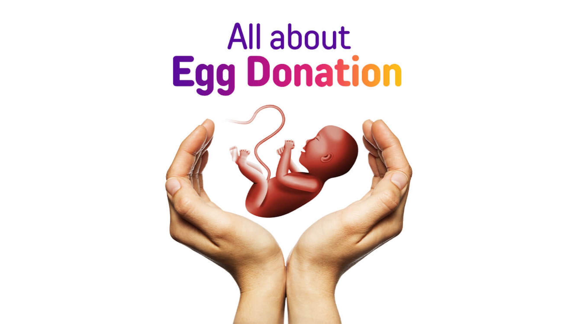 Egg-Donation-Banker-IVF-05-2000x1125