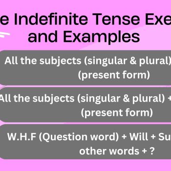 Future Indefinite Tense Exercise and Examples