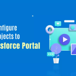How-to-Configure-Custom-Objects-to-the-Salesforce-Portal-3
