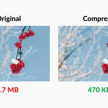 Original-and-Compressed-Image-Comparison-Mac