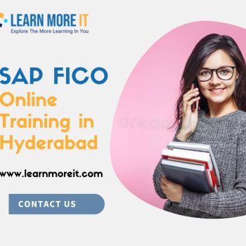 SAP FICO Online Training in Hyderabad - Learn More IT Solutions