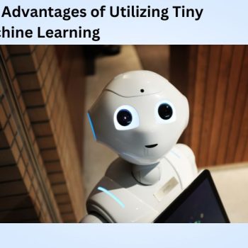 The Advantages of Utilizing Tiny Machine Learning