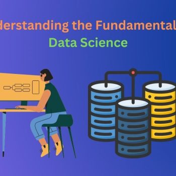 Understanding the Fundamentals of Data Science