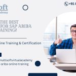 Which is the best institute for SAP Ariba Online Training