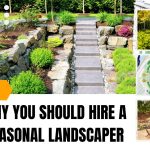 Why You Should Hire A Seasonal Landscaper