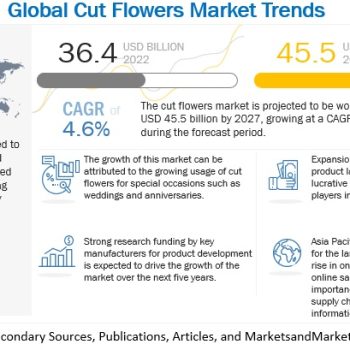 cut-flowers-market